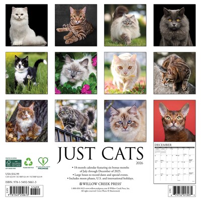 2026 Willow Creek Cats 12 x 12 Monthly Wall Calendar (50613)