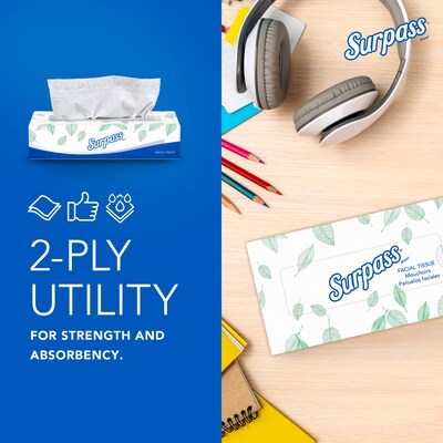 Surpass Standard Facial Tissue, 2-Ply, 100 Sheets/Box, 30 Boxes/Pack (21340)