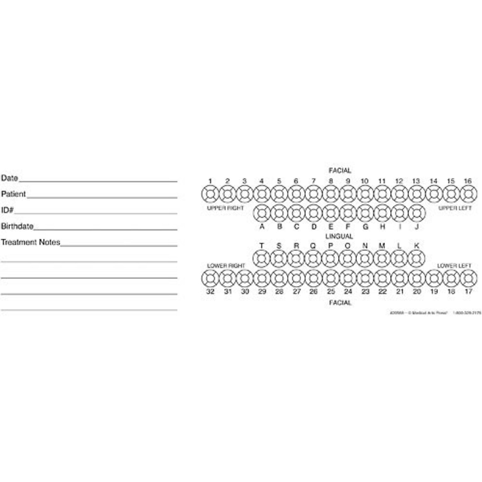 Medical Arts Press® Dental Chart Labels; Geometric