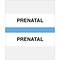 Lt. Blue Chart Divider Tabs; Prenatal