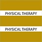 Medical Arts Press® Large Chart Divider Tabs; Physical Therapy, Olive