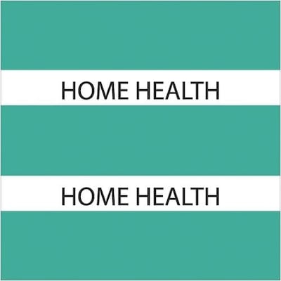Medical Arts Press® Large Chart Divider Tabs; Home Health, Teal