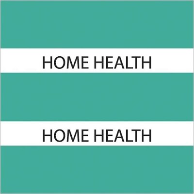 Medical Arts Press® Large Chart Divider Tabs; Home Health, Teal