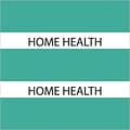 Medical Arts Press® Large Chart Divider Tabs; Home Health, Teal