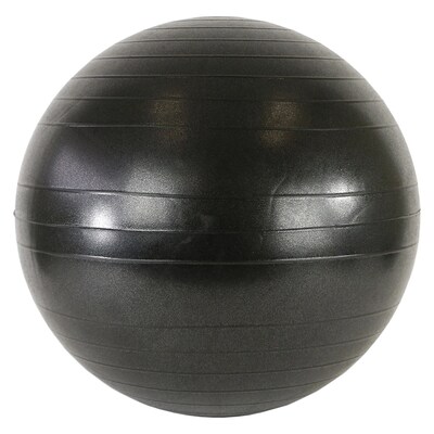 CanDo® Metal Mobile Ball stabilizer Chair with Arms