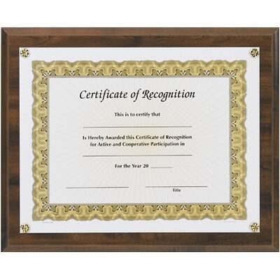 Awards4Work® Executive Plaques; Walnut