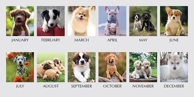 2026 House of Doolittle Earthscapes Puppy 8.5 x 4.25 Monthly Desktop Tent Calendar (3659-26)