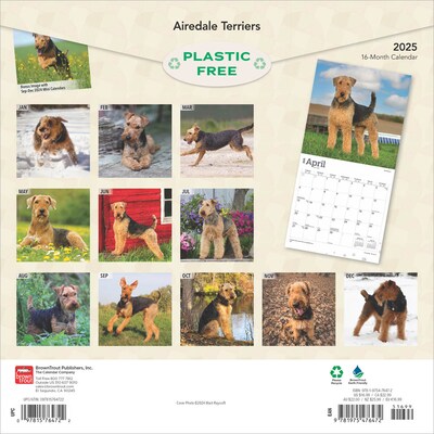 2025 BrownTrout Airedale Terriers 12 x 12 Monthly Wall Calendar (9781975476472)