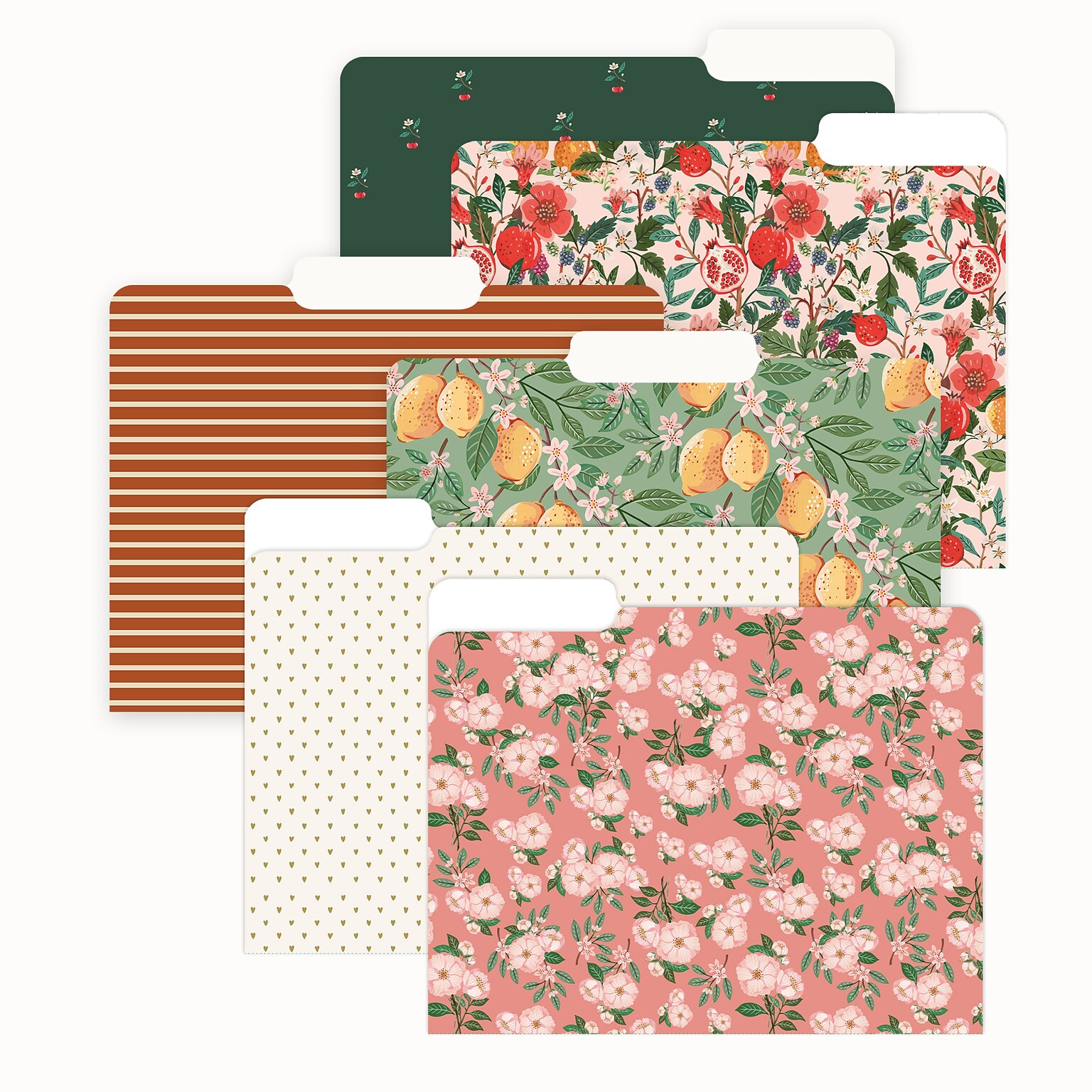 Blue Sky Bespoke File Folder, 1-Tab, Assorted, Letter Size, 6/Pack (155612)