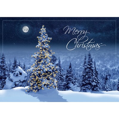 Simply Stunning Christmas Greeting Cards; Stock Verse Included; Boxed Set of 25 Cards and Envelopes