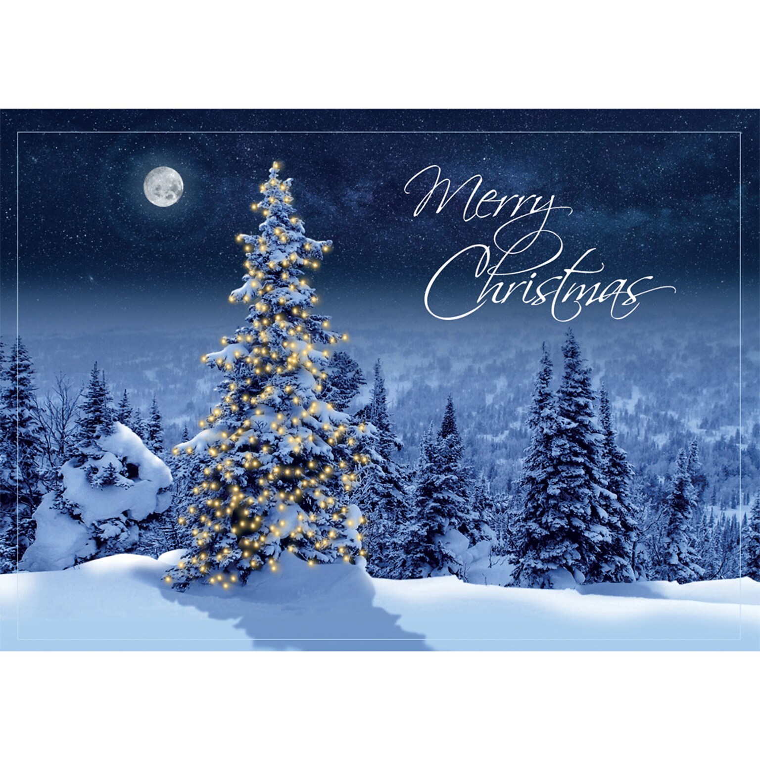 Simply Stunning Christmas Greeting Cards; Stock Verse Included; Boxed Set of 25 Cards and Envelopes