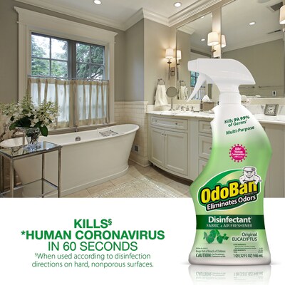 OdoBan Air Freshener & Deodorizer Spray, Original Eucalyptus Scent, 32 oz. (910061-Q6)