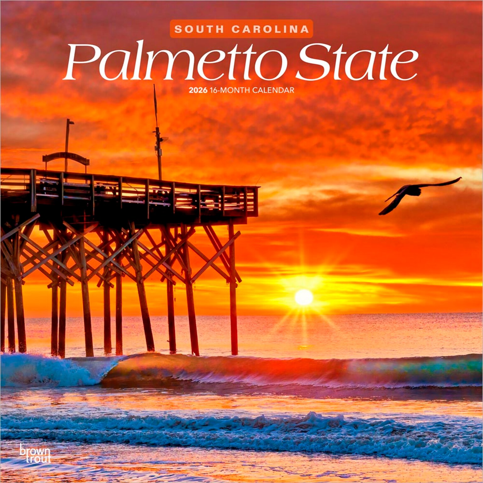 2026 BrownTrout Palmetto State South Carolina Places 12 x 12 Monthly Wall Calendar (9798330705061)