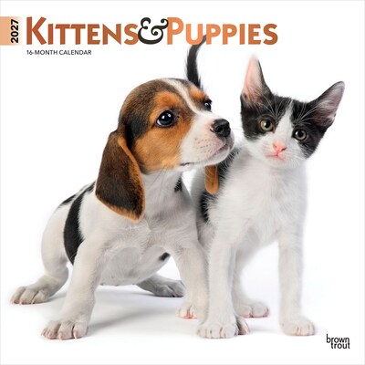 2027 BrownTrout Kittens & Puppies 12 x 12 Monthly Wall Calendar (9798330711796)