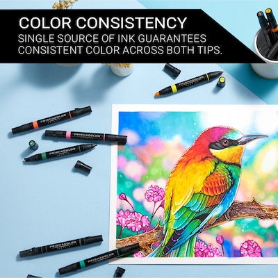 Prismacolor Professional Double-Ended Art Markers, Chisel & Fine, Assorted Colors, 12/Set (3620)