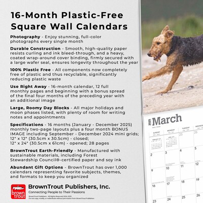 2025 BrownTrout Airedale Terriers 12" x 12" Monthly Wall Calendar (9781975476472)