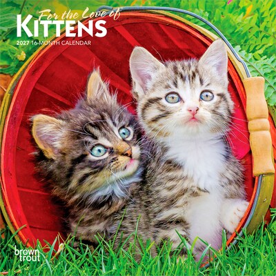 2027 BrownTrout For the Love of Kittens 7 x 7 Monthly Wall Calendar (9798330709731)