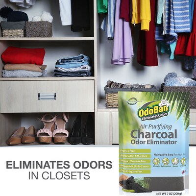 OdoBan Air Purifying Charcoal Deodorizer Solid, 7 oz. (9760A61-200M)