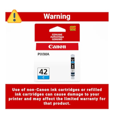Canon 42 Cyan Standard Yield Ink Cartridge (6385B002)