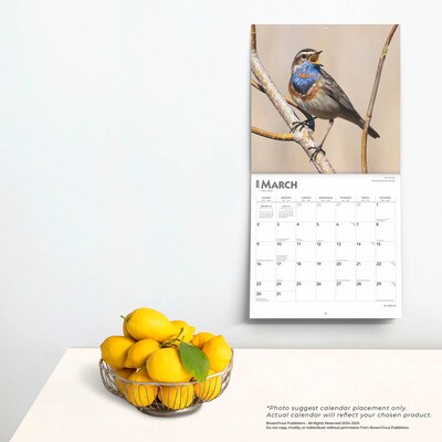 2025 BrownTrout Songbirds 12" x 12" Monthly Square Wall Calendar (9781975477806)