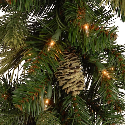 National Tree Company 9' Carolina Pine Garland with LED Lights (CAP3-306-9A-B1)
