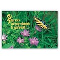 Medical Arts Press® Eye Care Standard 4x6 Postcards; Butterfly On Pink Flower