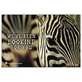 Medical Arts Press® Eye Care Standard 4x6 Postcards; Looking for You