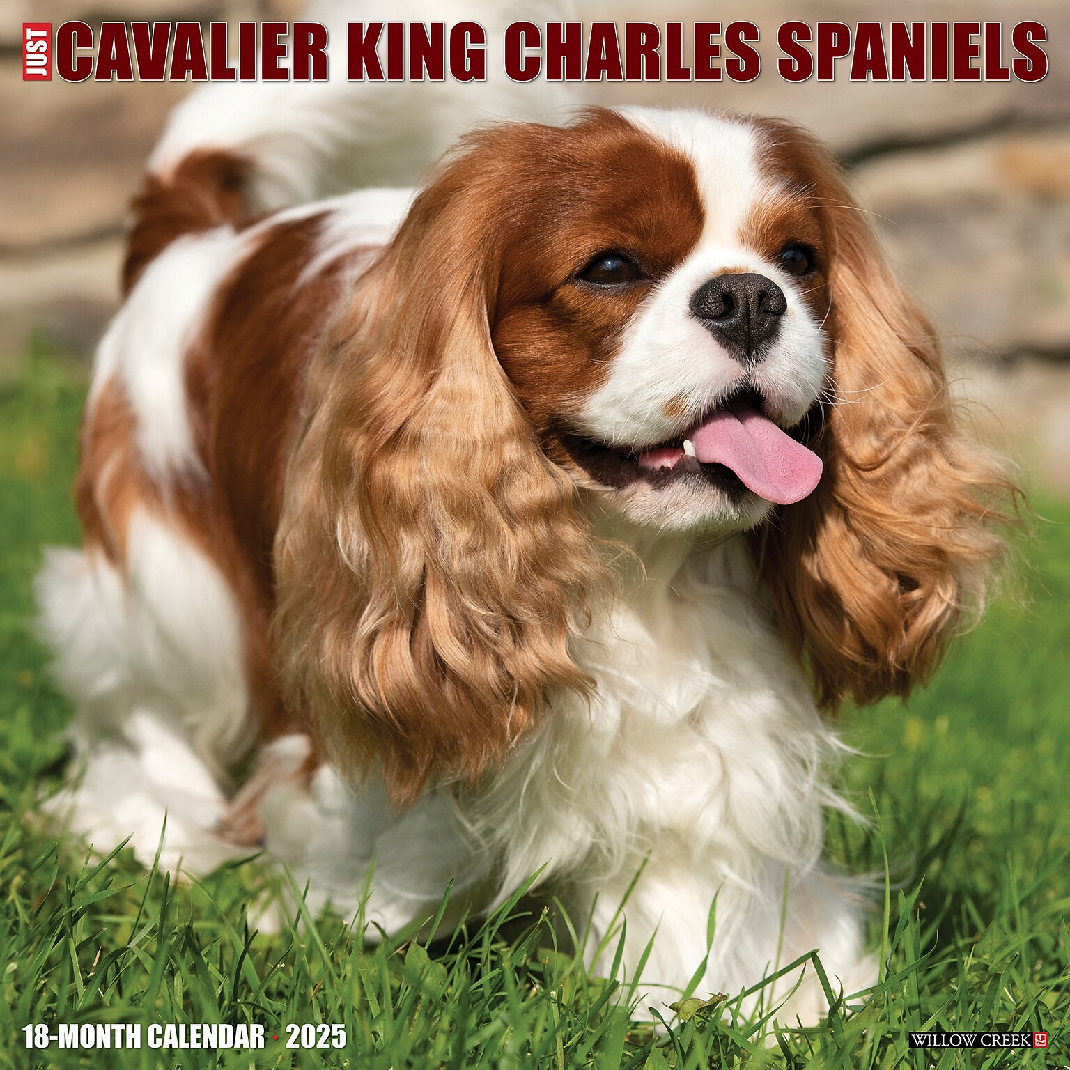 2025 Willow Creek Just Cavalier King Charles Spaniels 12 x 12 Monthly Wall Calendar (42274)