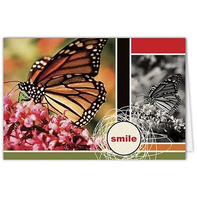 Medical Arts Press® Dental Greeting Cards; Butterfly,  Blank Inside
