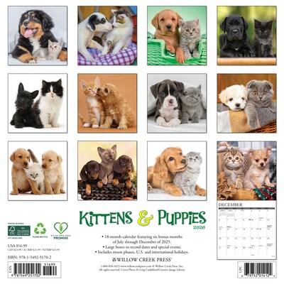 2026 Willow Creek Kittens & Puppies 12 x 12 Monthly Wall Calendar (51702X)