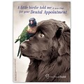Rachael Hale® Dental Standard 4x6 Postcards; Little Birdie, Dental