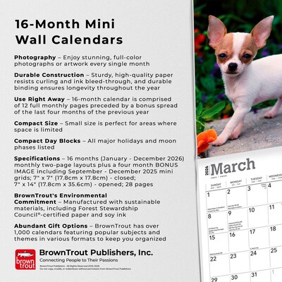 2026 BrownTrout Chihuahua Puppies 7" x 7" Monthly Wall Calendar (9798330702916)