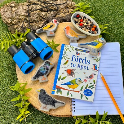 Yellow Door Sensory Play Stones, Birds, Multicolored, 8 Pieces/Set (YUS1219)