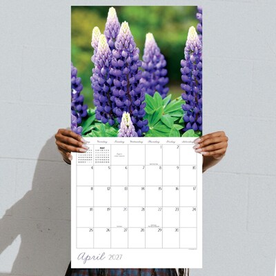 2027 TF Publishing Flowers 10" x 12" Monthly Wall Calendar, Multicolored (27-1034)