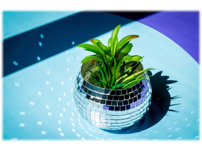 Art 101 Crafts Make Your Own Disco Planter Kit (41035MB)