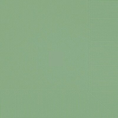 Party City Lunch Napkin, 2-Ply, Jade, 40 Napkins/Pack (AM61211-166)