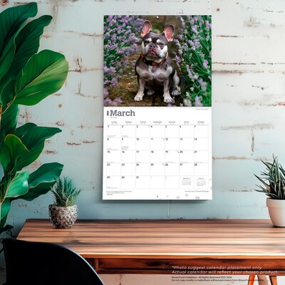2026 BrownTrout For the Love of French Bulldogs 14" x 12" Monthly Wall Calendar (9798330707201)