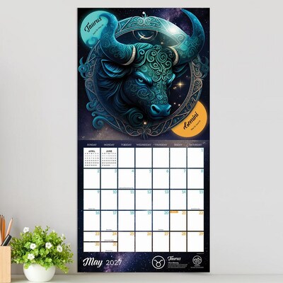 2027 TF Publishing Astrology 12" x 12" Monthly Wall Calendar, Multicolored (27-1132)