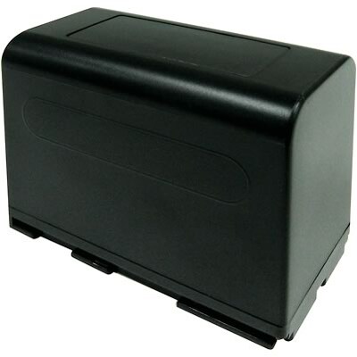 Lenmar Battery, C, Each (LENLIC941)