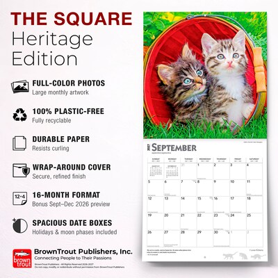 2027 BrownTrout I Love Kittens 12" x 12" Monthly Wall Calendar (9798330711802)