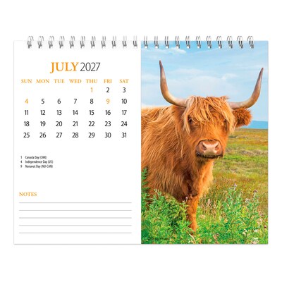 2027 BrownTrout Highland Cows 7.5" x 6" Monthly Wall Calendar, Assorted Colors (9798330716272)