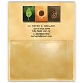Medical Arts Press® Generic Card Holder Magnets; Nature