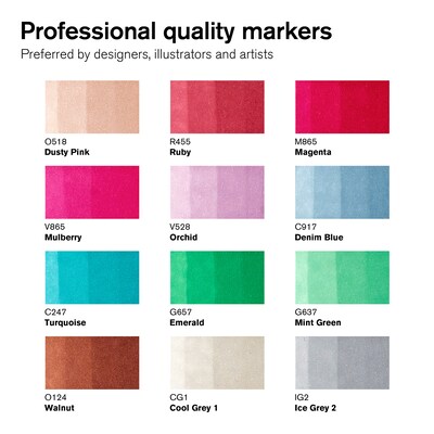 Winsor & Newton Promarker Dual-Tip Alcohol Based Marker, Manga Chibi Colors, 12/Pack (WNX0290141)