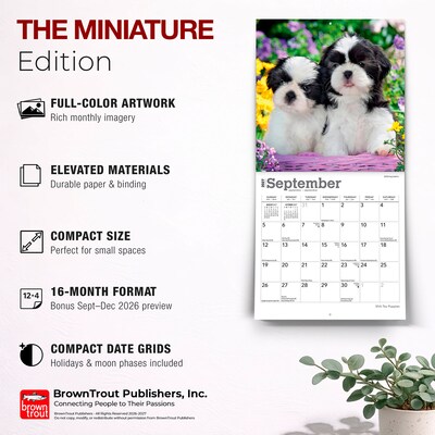 2027 BrownTrout Shih Tzu Puppies 7" x 7" Monthly Wall Calendar (9798330710089)