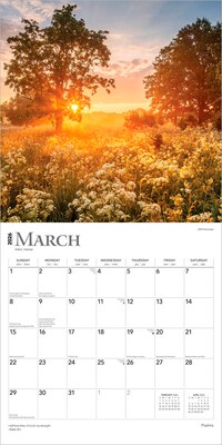 2026 BrownTrout Psalms 12" x 12" Monthly Wall Calendar (9798330705207)