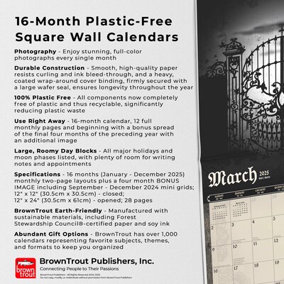 2025 BrownTrout Alchemy Gothic  12" x 12" Monthly Square Wall Calendar (9781975483104)