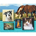 Medical Arts Press® Veterinary Greeting Cards; Animals,  Personalized