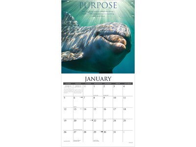 2025 Willow Creek Motivationals 12" x 12" Monthly Wall Calendar (44049)