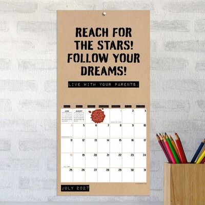 2027 TF Publishing Anti-Affirmations & Sarcasm 7" x 7" Monthly Wall Calendar, Multicolored (27-2100)