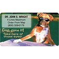 Medical Arts Press® Business Card Stickies™; Dog-Gone It